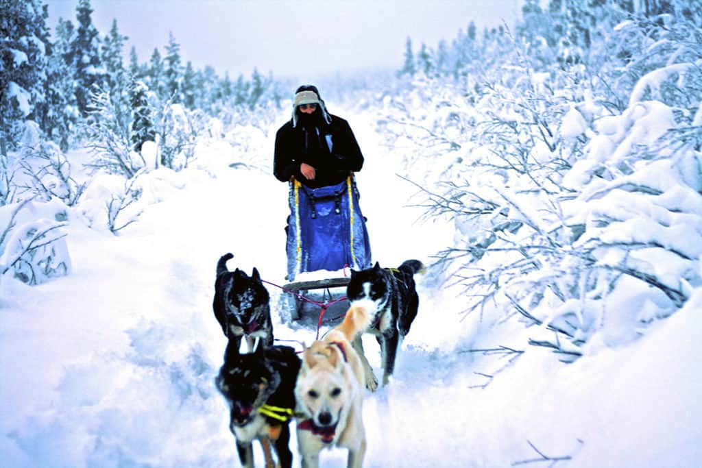 Michael sledding in Iceland