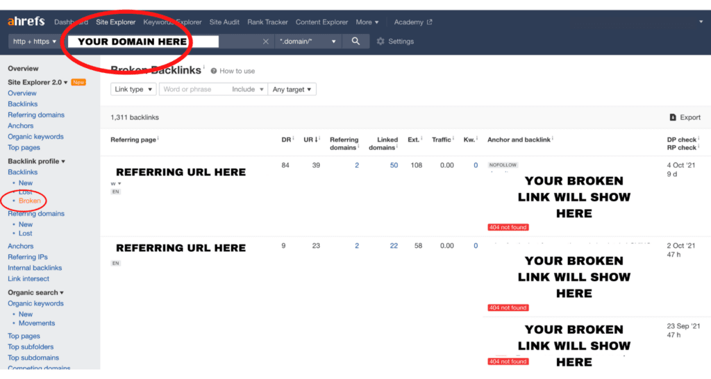 aHrefs Broken Backlinks Report